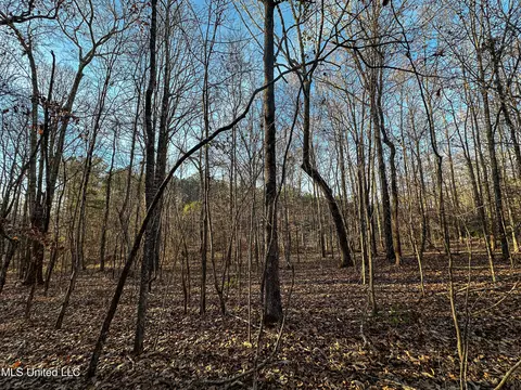 001 Alva Rd, Eupora, MS 39744 photo 21
