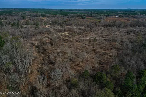 001 Alva Rd, Eupora, MS 39744 photo 17