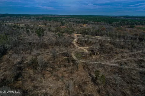 001 Alva Rd, Eupora, MS 39744 photo 18