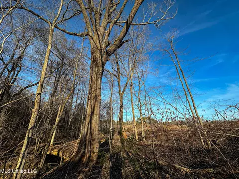 001 Alva Rd, Eupora, MS 39744 photo 9