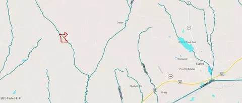 001 Alva Rd, Eupora, MS 39744 photo 6