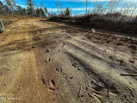 001 Alva Rd, Eupora, MS 39744 photo 20