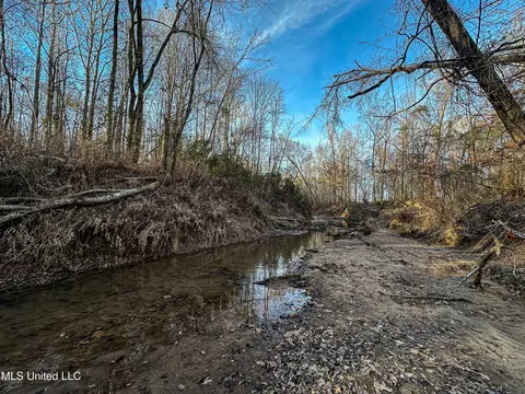 001 Alva Rd, Eupora, MS 39744 photo 24