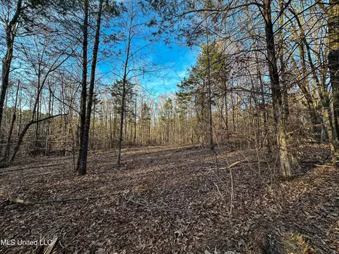 001 Alva Rd, Eupora, MS 39744 photo 27