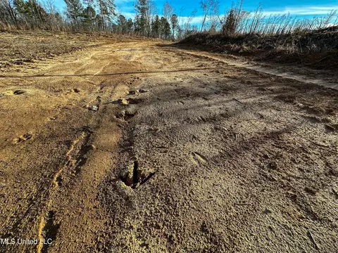 001 Alva Rd, Eupora, MS 39744 photo 30