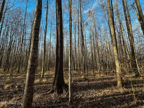 001 Alva Rd, Eupora, MS 39744 photo 29
