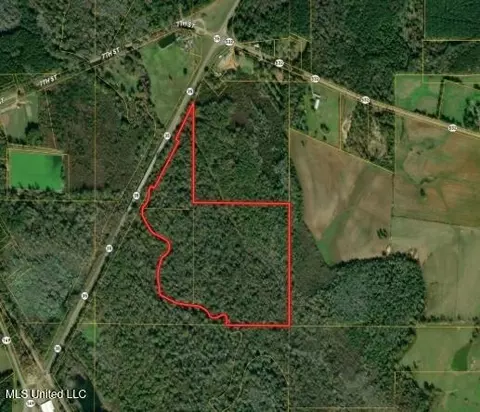 Highway 35 Mississippi 35, Mount Olive, MS 39119
