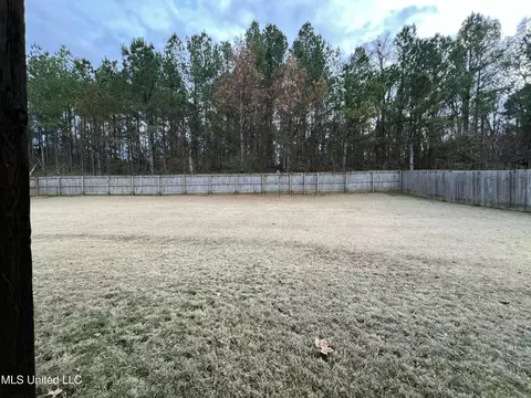 Exterior - 2335 Ouse Valley Ln, Hernando, MS 38632 photo 6 of 6