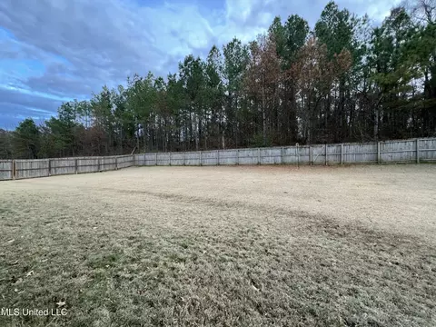 Exterior - 2335 Ouse Valley Ln, Hernando, MS 38632 photo 5 of 6