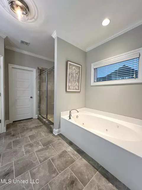 Bath - 2335 Ouse Valley Ln, Hernando, MS 38632 photo 2 of 8