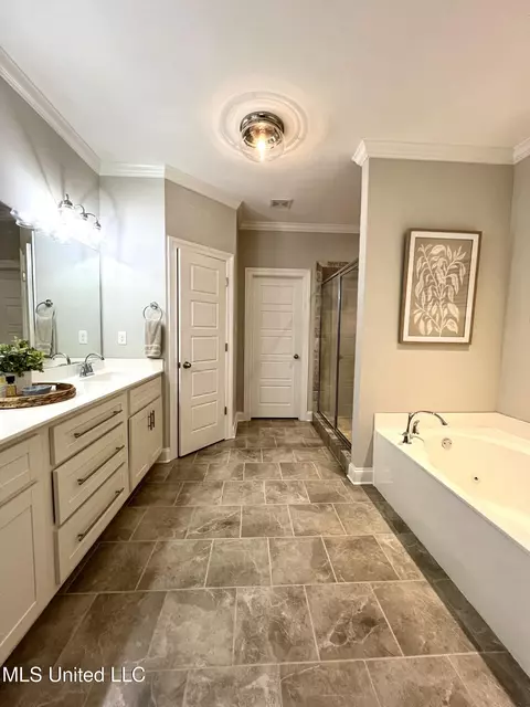Bath - 2335 Ouse Valley Ln, Hernando, MS 38632 photo 4 of 8