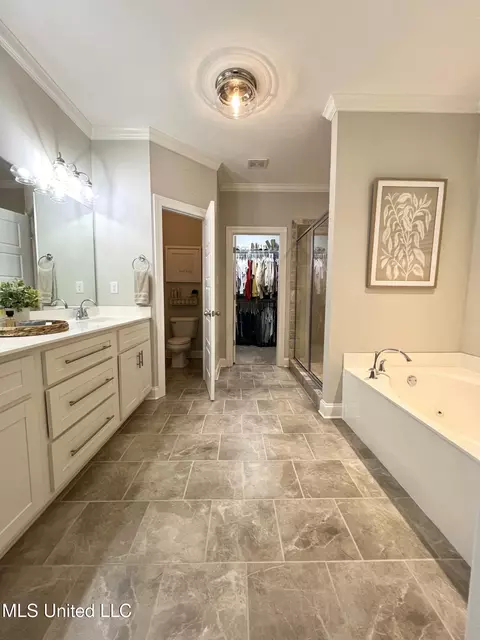 Bath - 2335 Ouse Valley Ln, Hernando, MS 38632 photo 5 of 8