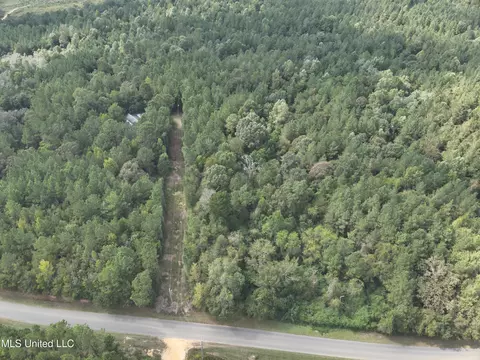 1567 County Road 8, Laurel, MS 39443 photo 19