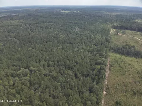 1567 County Road 8, Laurel, MS 39443 photo 28