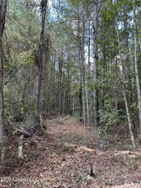 1567 County Road 8, Laurel, MS 39443 photo 13