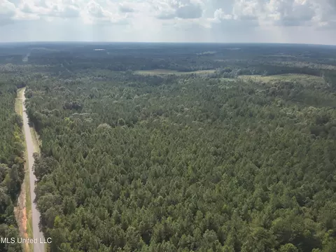 1567 County Road 8, Laurel, MS 39443 photo 23