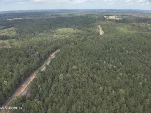 1567 County Road 8, Laurel, MS 39443 photo 15