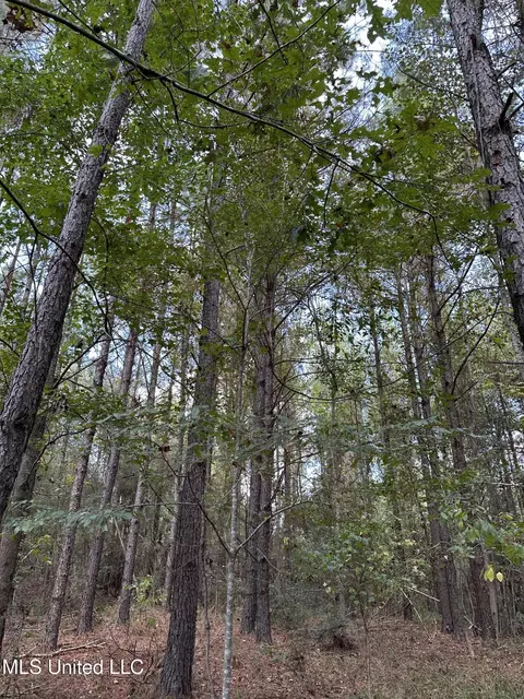1567 County Road 8, Laurel, MS 39443 photo 12