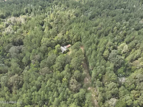 1567 County Road 8, Laurel, MS 39443 photo 20