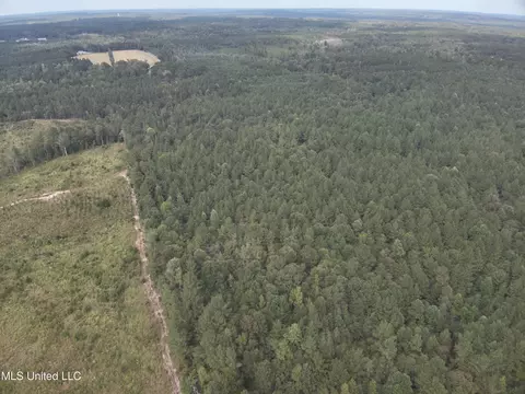 1567 County Road 8, Laurel, MS 39443 photo 27