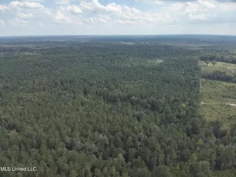 1567 County Road 8, Laurel, MS 39443 photo 26