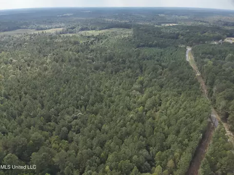 1567 County Road 8, Laurel, MS 39443 photo 22