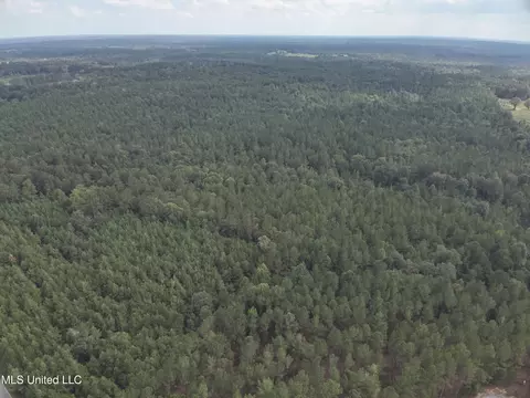 1567 County Road 8, Laurel, MS 39443 photo 14