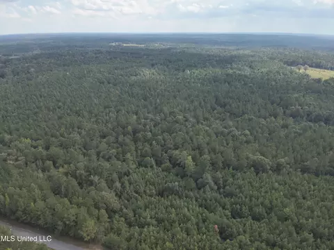 1567 County Road 8, Laurel, MS 39443 photo 25
