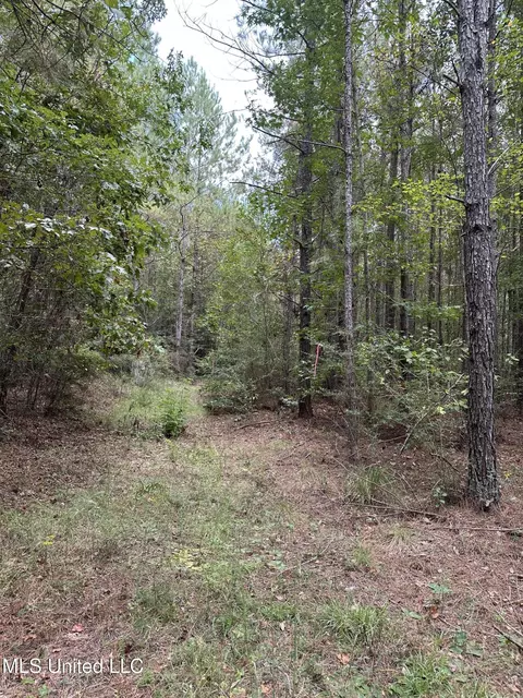 1567 County Road 8, Laurel, MS 39443 photo 10