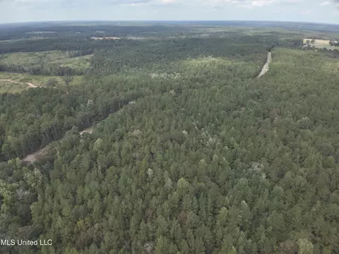 1567 County Road 8, Laurel, MS 39443 photo 16