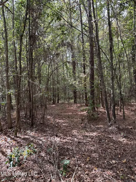 1567 County Road 8, Laurel, MS 39443 photo 8