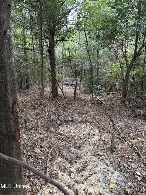 1567 County Road 8, Laurel, MS 39443 photo 9