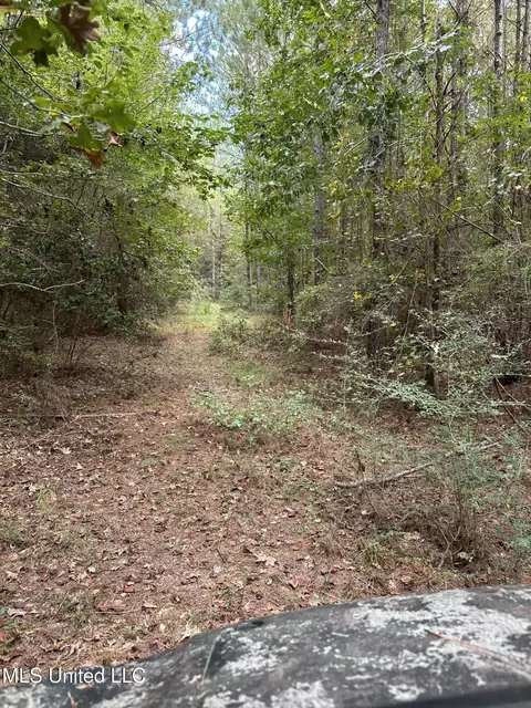 1567 County Road 8, Laurel, MS 39443 photo 11