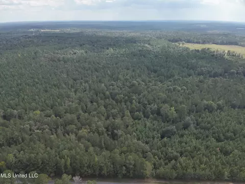 1567 County Road 8, Laurel, MS 39443 photo 24