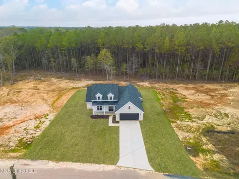 56 Clear Lake Rd, Perkinston, MS 39573 photo 3