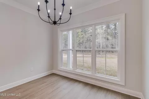56 Clear Lake Rd, Perkinston, MS 39573 photo 7