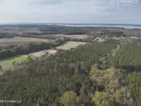 Barksdale Road, Brandon, MS 39047 photo 5