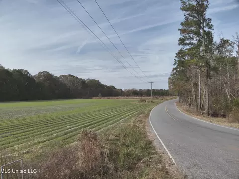 Barksdale Road, Brandon, MS 39047 photo 10