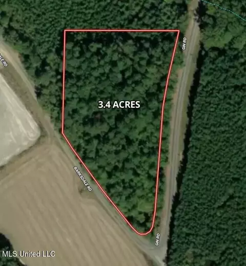 Barksdale Road, Brandon, MS 39047 photo 3