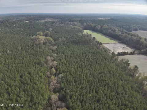 Barksdale Road, Brandon, MS 39047 photo 7