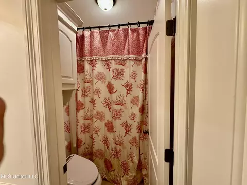 Bath - 1432 W Notting Hill Cv, Hernando, MS 38632 photo 4 of 5