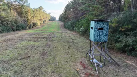 tbd Aunt Margies Rd, Greensburg, LA 70441