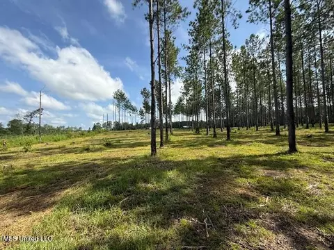 401 SW Montgomery Rd, Summit, MS 39666 photo 10