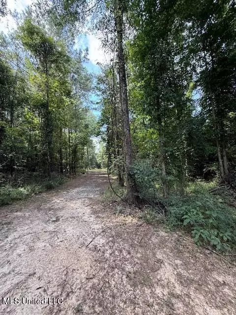 401 SW Montgomery Rd, Summit, MS 39666 photo 15