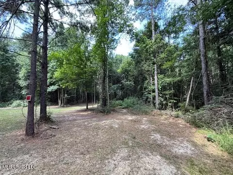 401 SW Montgomery Rd, Summit, MS 39666 photo 16