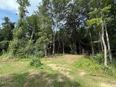 401 SW Montgomery Rd, Summit, MS 39666 photo 14