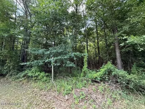 401 SW Montgomery Rd, Summit, MS 39666 photo 13