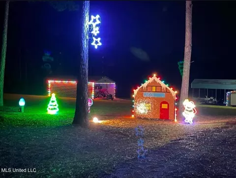 401 SW Montgomery Rd, Summit, MS 39666 photo 4