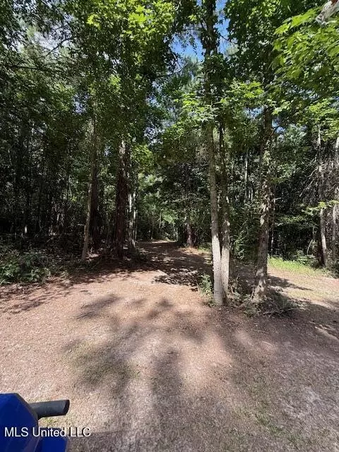 401 SW Montgomery Rd, Summit, MS 39666 photo 17