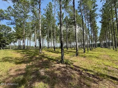 401 SW Montgomery Rd, Summit, MS 39666 photo 9